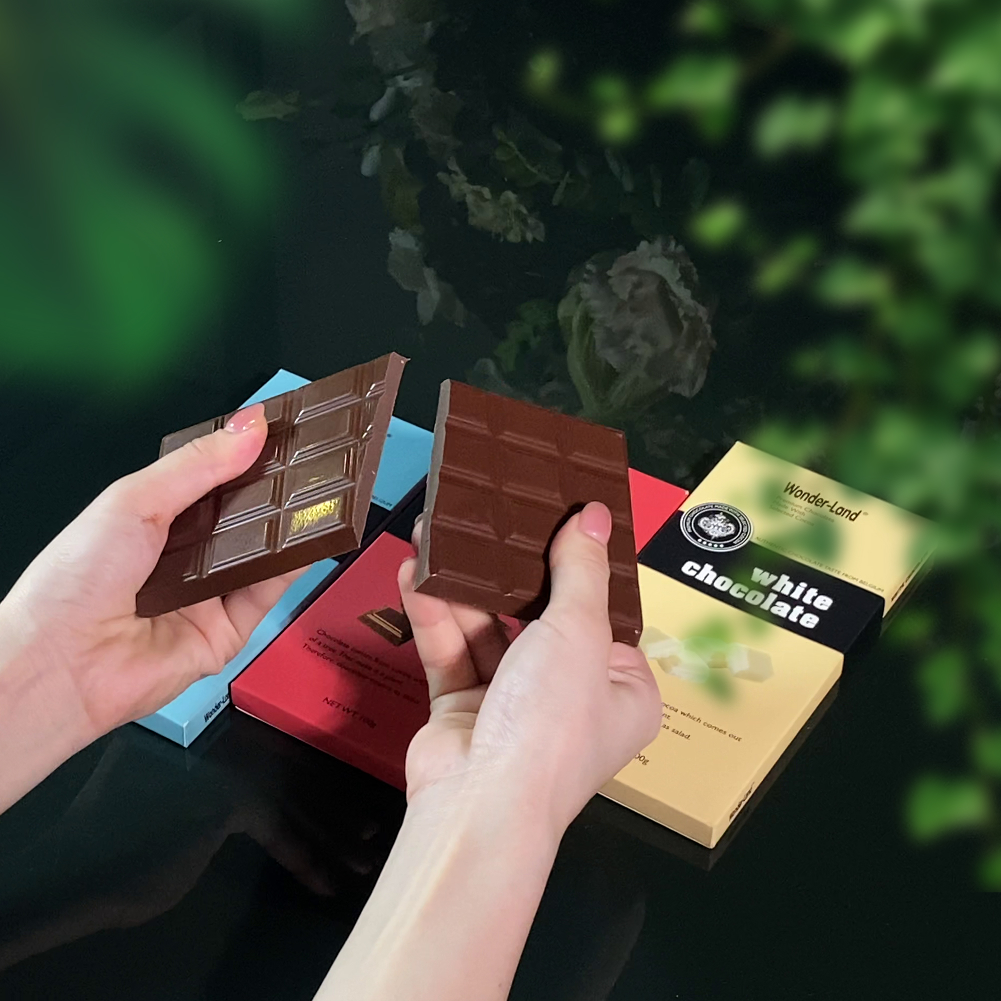 Thanh Dark Wonder-Land 100g