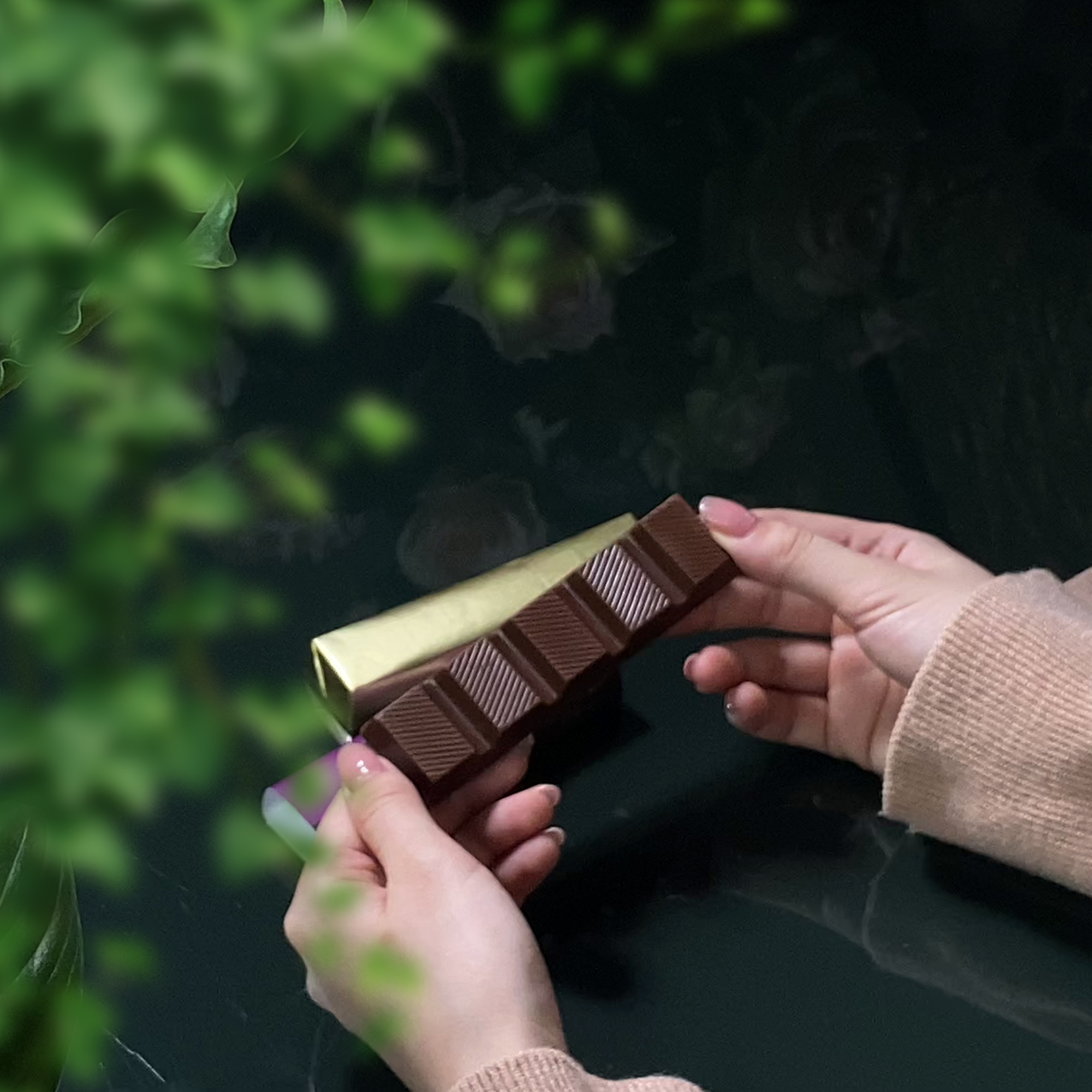 Thanh 45g Dark Hazelnut