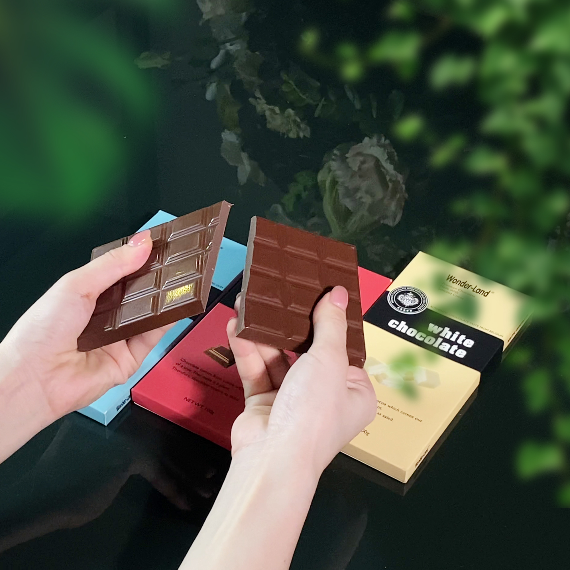 Thanh Milk Wonder-Land 100g