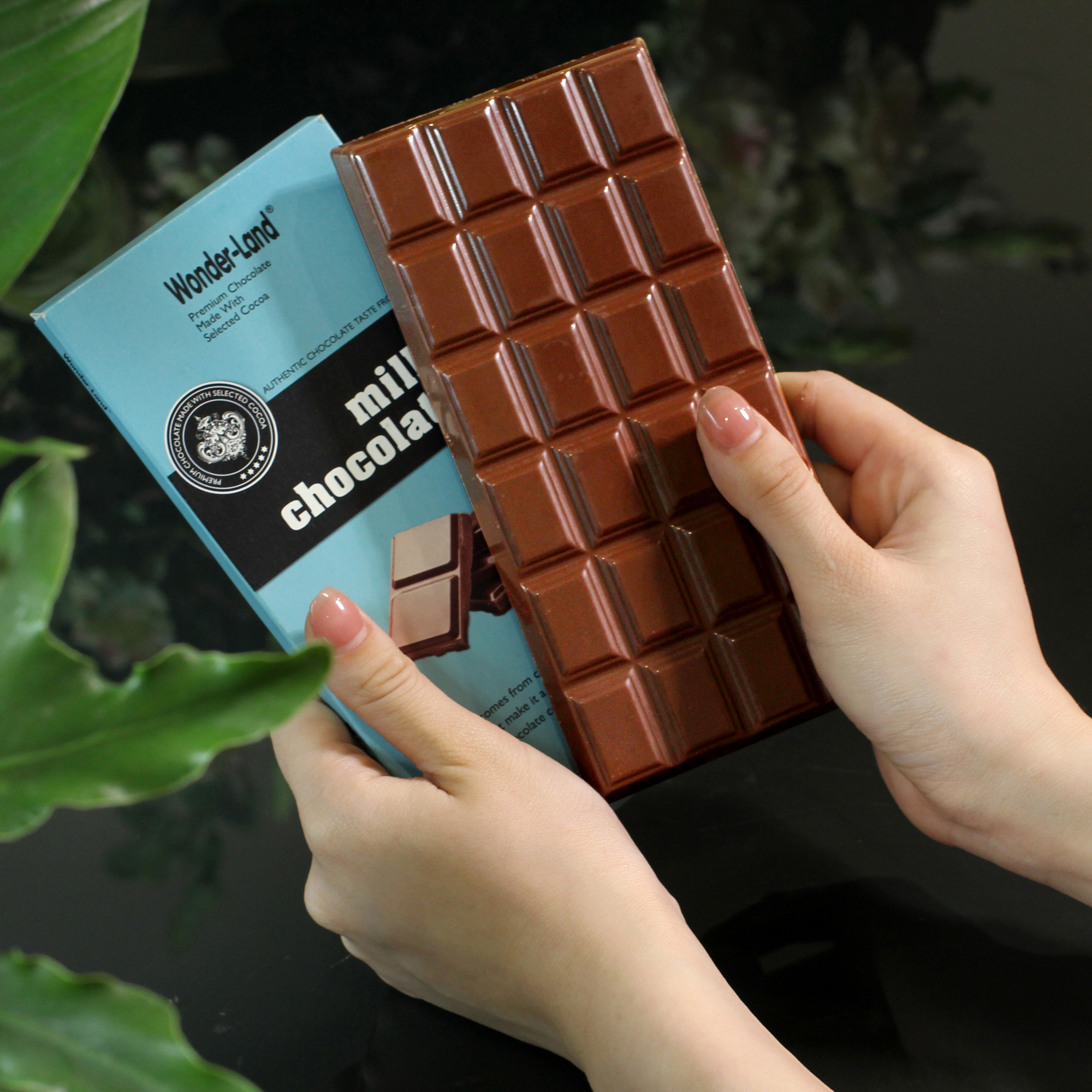 Thanh Milk Wonder-Land 100g