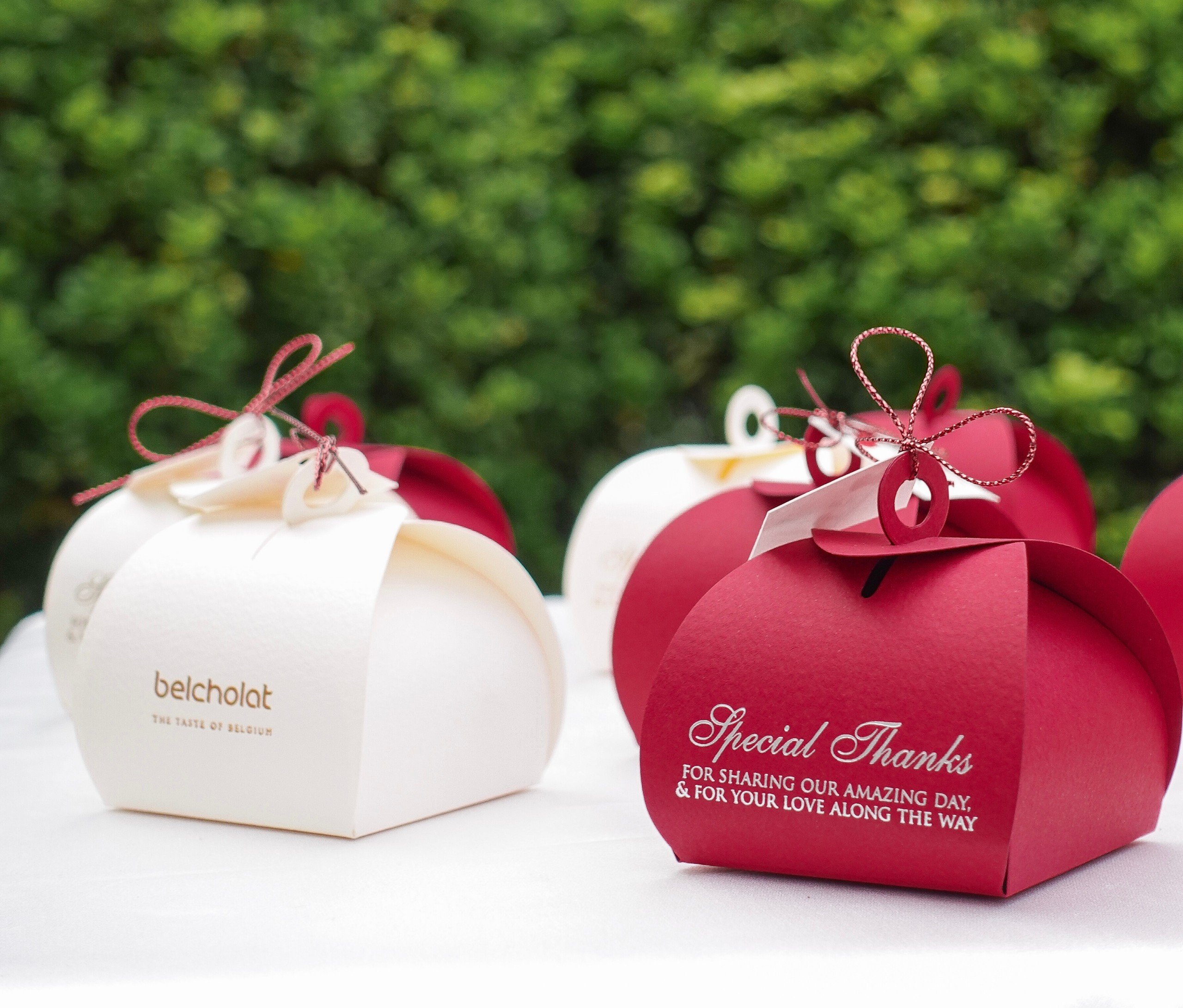 Special Thanks/ H02 - Box