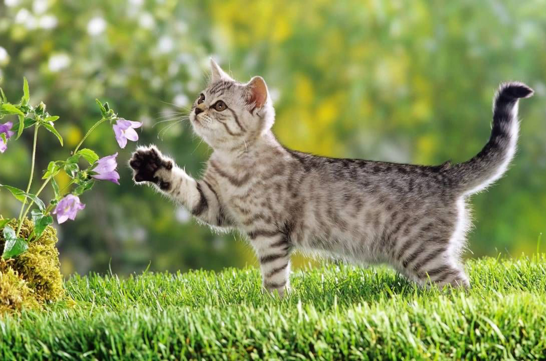 Tại Sao Cần Thiết và Những Điều Bạn Cần Biết