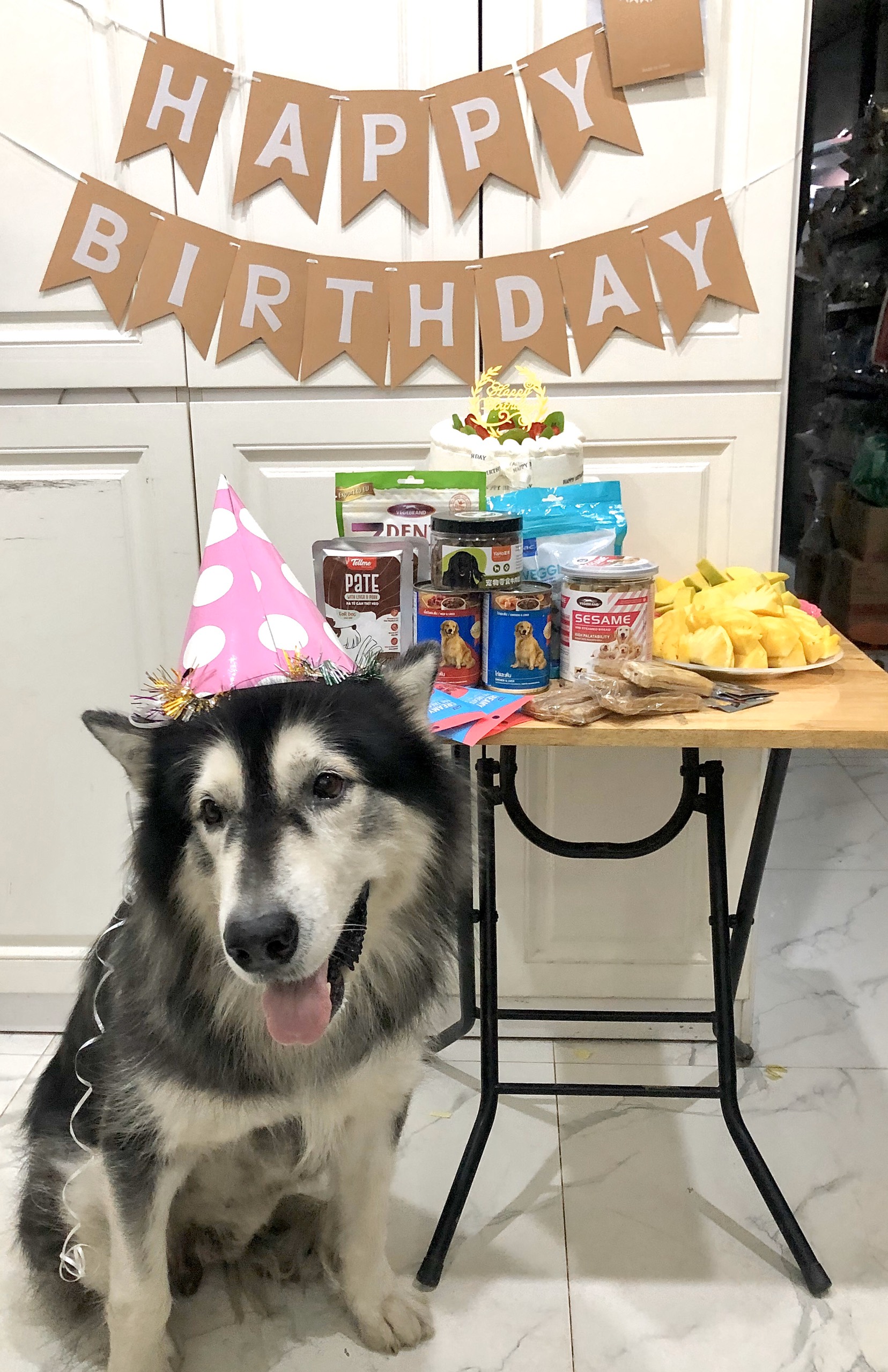 Câu chuyện về chú chó Alaska Câu chuyện về chú chó Alaska