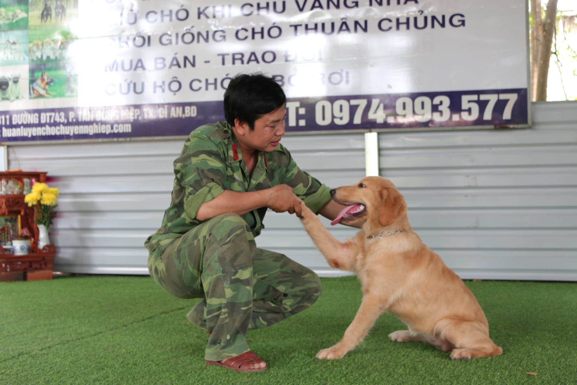 Huấn luyện cho chó tại nhà đơn giản với những mẹo sau