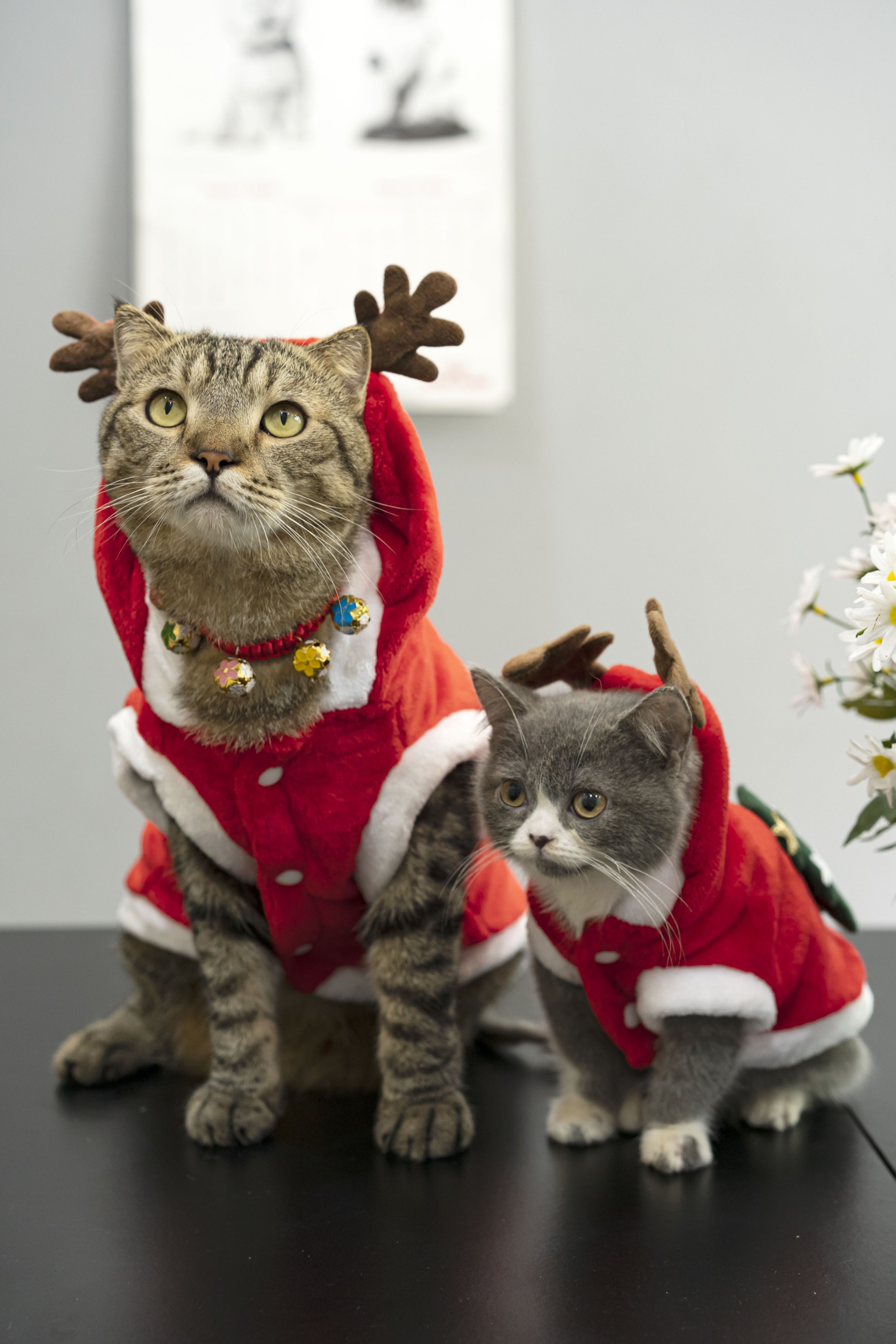 Những đồ thiết yếu cần sắm sửa cho boss khi mùa đông tới Những đồ thiết yếu cần sắm sửa cho boss khi mùa đông tới