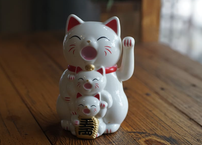 Câu Chuyện Thú Vị Về Mèo Trên Khắp Thế Giới Câu Chuyện Thú Vị Về Mèo Trên Khắp Thế Giới