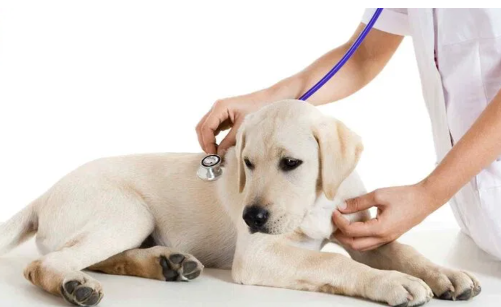 Các Triệu Chứng Sinh Lý Khi Mang Thai