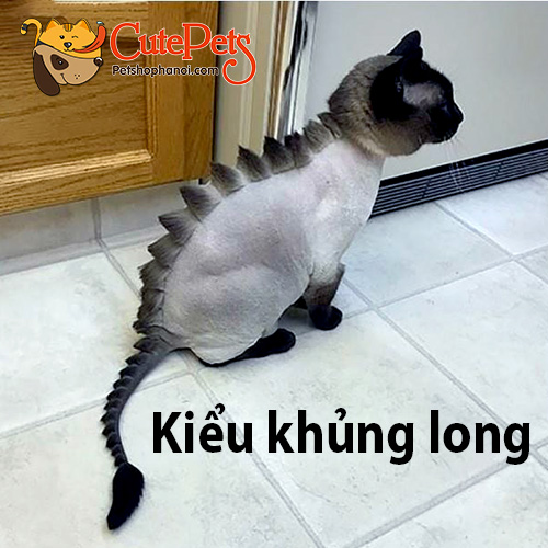 Dịch Vụ Cắt Tỉa Spa cho chó mèo Cutepets - Pet shop & Grooming Spa Thú cưng  Hà Nội