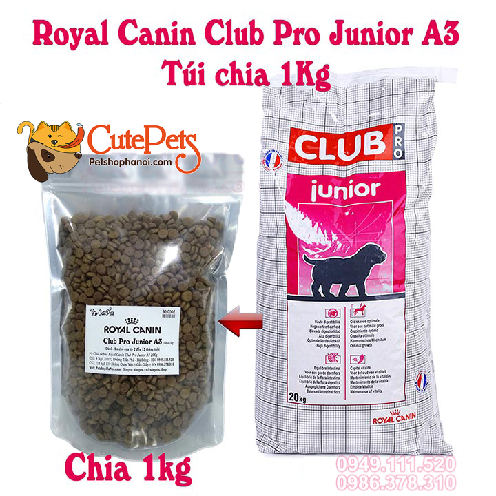 Royal Canin Club Pro Junior -Hạt cho chó nhỏ Canin A3 Cutepets - Pet shop &  Grooming Spa Thú cưng Hà Nội