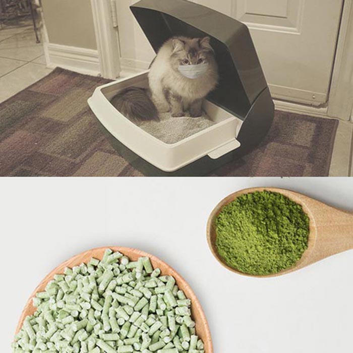 Cát vệ sinh mèo Tofu Cat Litter 6L Đổ được bồn cầu - cát ...