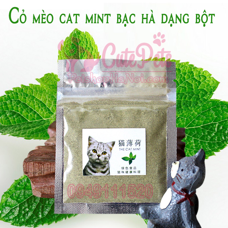 Cỏ mèo Cat Mint Bạc hà dạng bột dành cho mèo - Cutepets Cutepets - Pet shop & Grooming Spa Thú cưng Hà Nội Cỏ Mèo Cat Mint Bạc Hà Dạng Bột Dành Cho Mèo - Cutepets Cutepets - Pet Shop & Grooming Spa Thú Cưng Hà Nội
