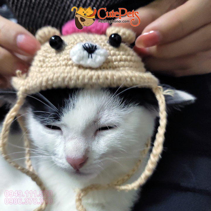 Mũ Len Đan Tay Handmade Cho Chó Mèo Cutepets - Pet Shop & Grooming Spa Thú  Cưng Hà Nội