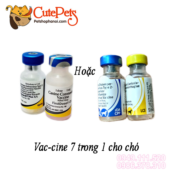 Vacxin phòng ngừa 5-7 bệnh cho chó Vaccine C…