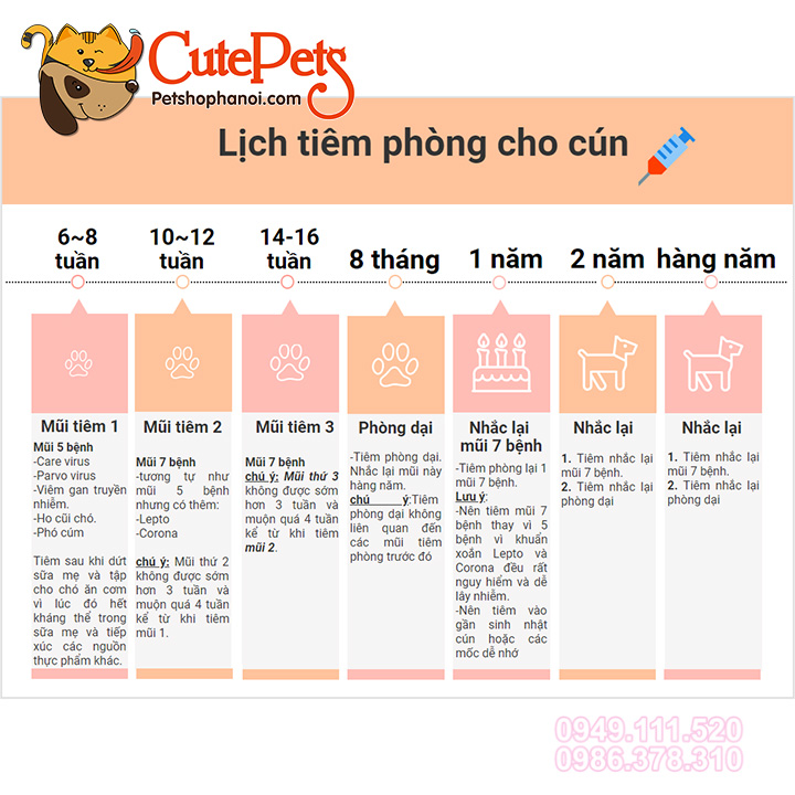 Vắc-xin Phòng dại cho chó mèo