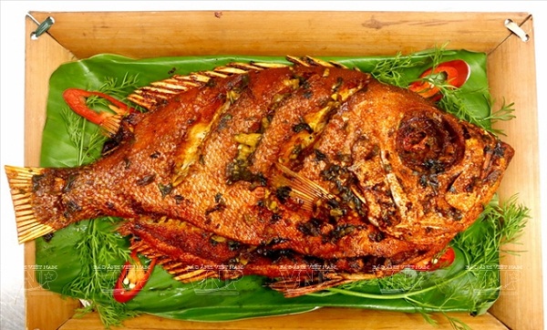 Cá Bã Trầu Phan Thiết Thịt Trắng, Mềm, Ngọt | 24Hseamart.Vn