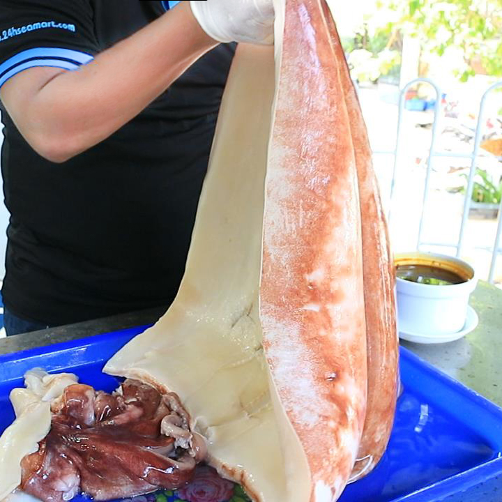 Mực Lá Câu  Kg  Hải Sản Kiều Hưng  Chuyên các loại hải sản cao cấp