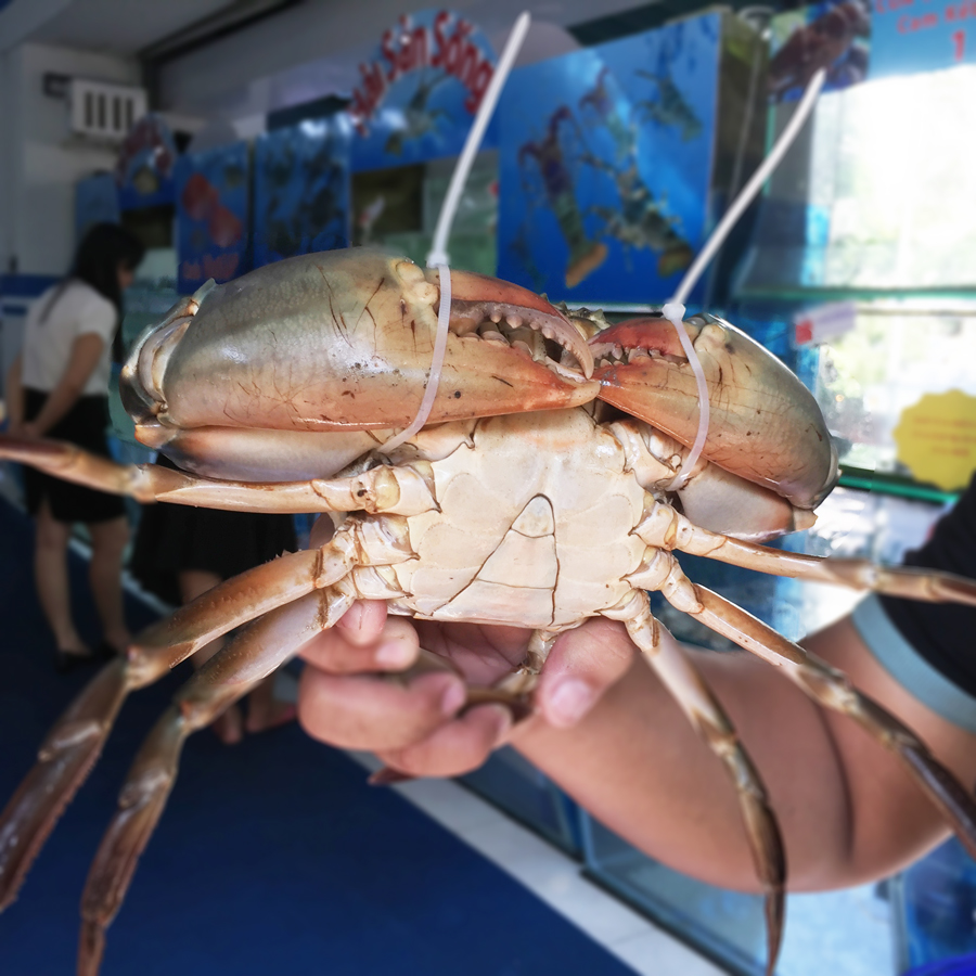 Cua Thịt Cà Mau - Hải sản 24hseamart Cua Thịt Cà Mau - Hải Sản 24Hseamart