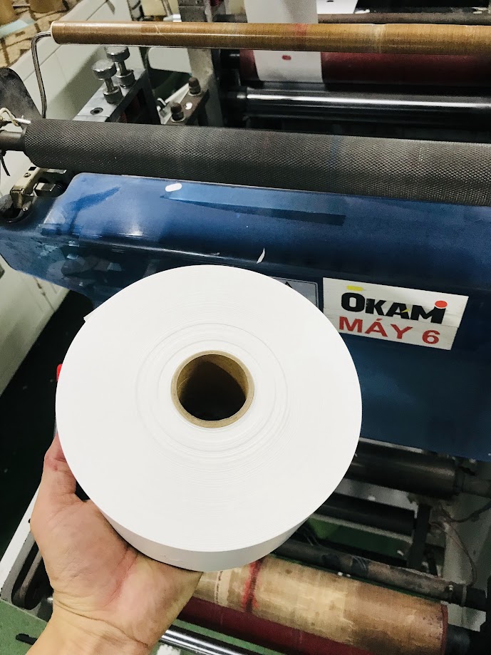 Ruban 100x120 x 200m, đục lỗ oval Hà Nội