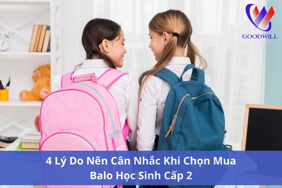 4-ly-do-nen-can-nhac-khi-chon-mua-balo-hoc-sinh-cap-2