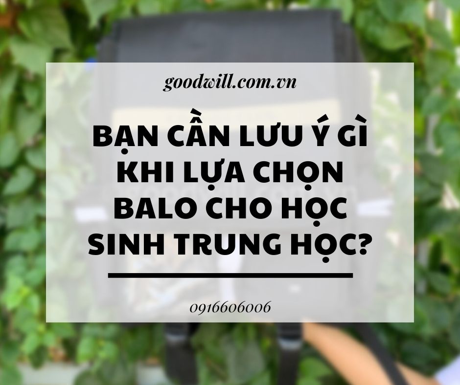 ban-can-luu-y-gi-khi-lua-chon-balo-cho-hoc-sinh-trung-hoc