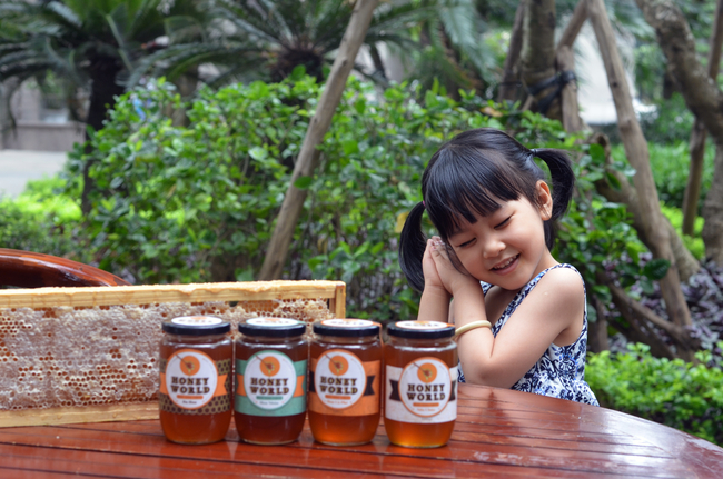 Câu chuyện Honey World