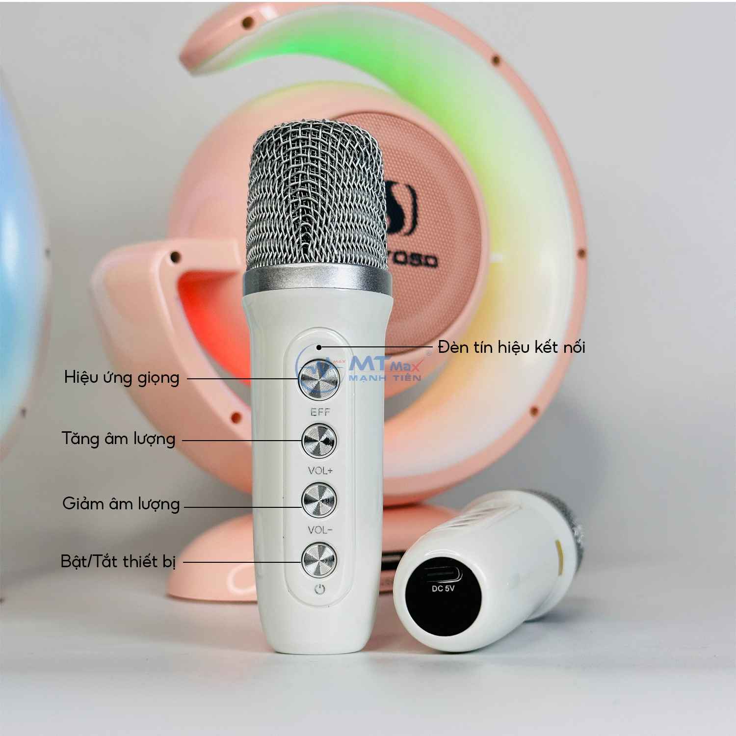 MẠNH TIẾN GIÁ SỈ