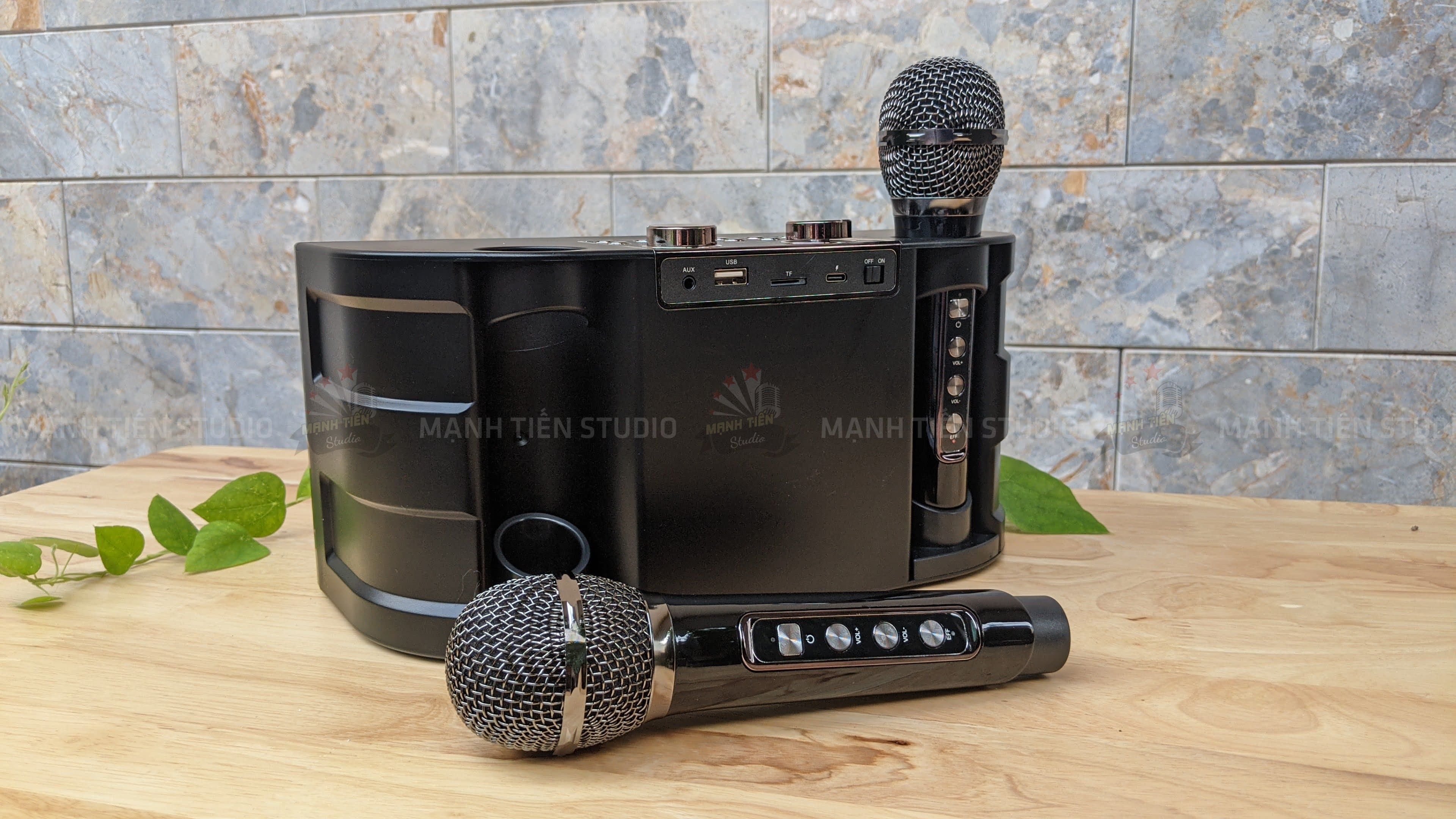 MẠNH TIẾN GIÁ SỈ