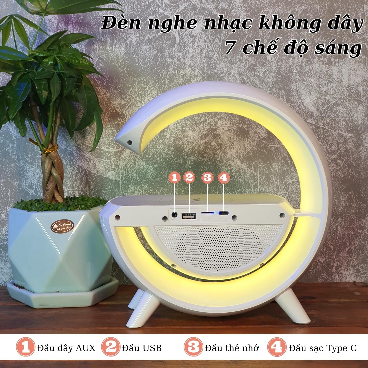 MẠNH TIẾN GIÁ SỈ