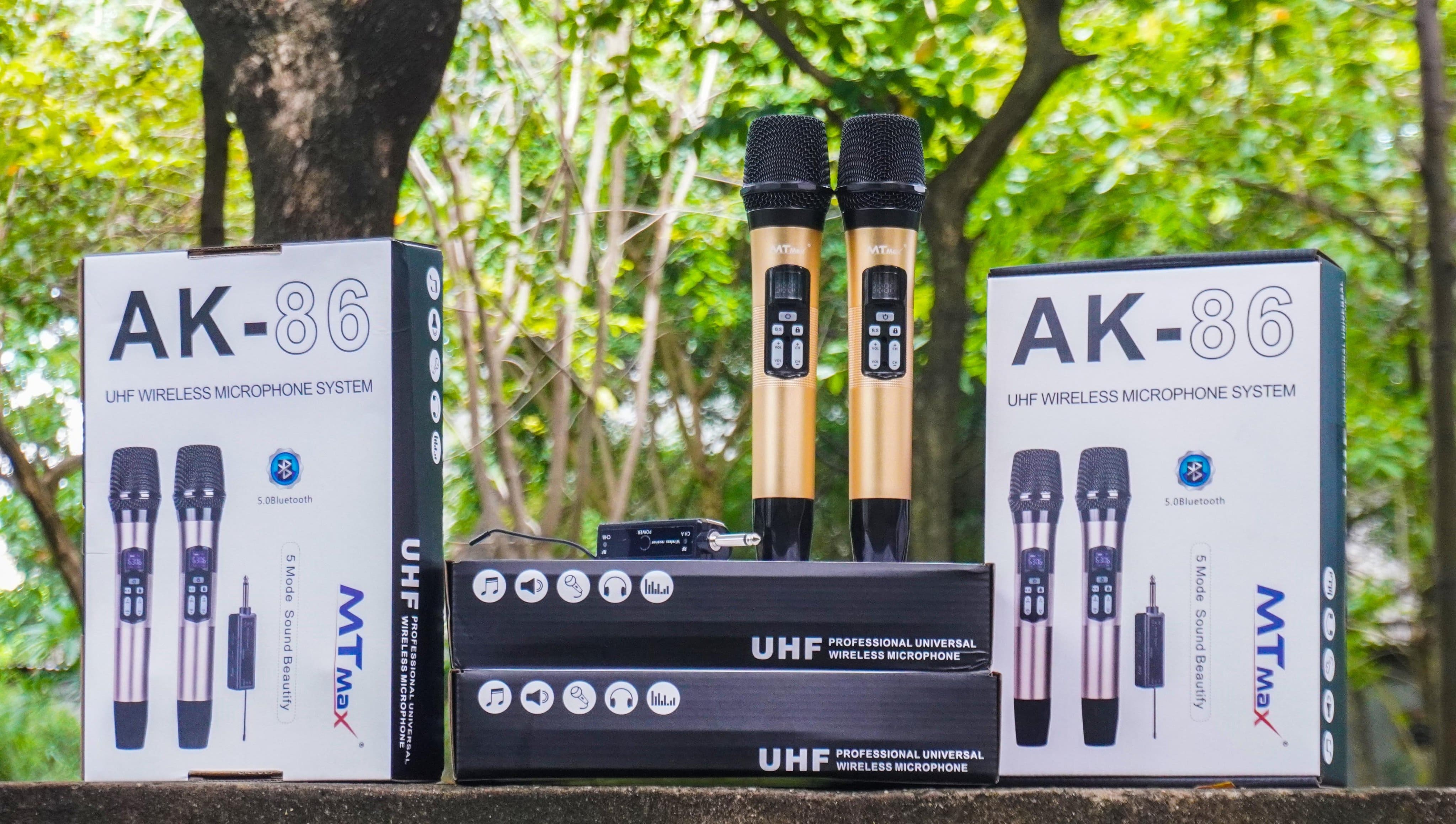 MẠNH TIẾN GIÁ SỈ