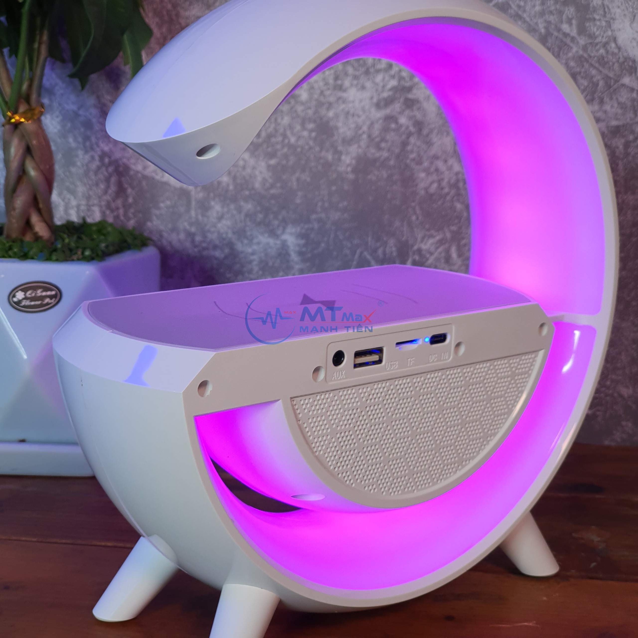 MẠNH TIẾN GIÁ SỈ