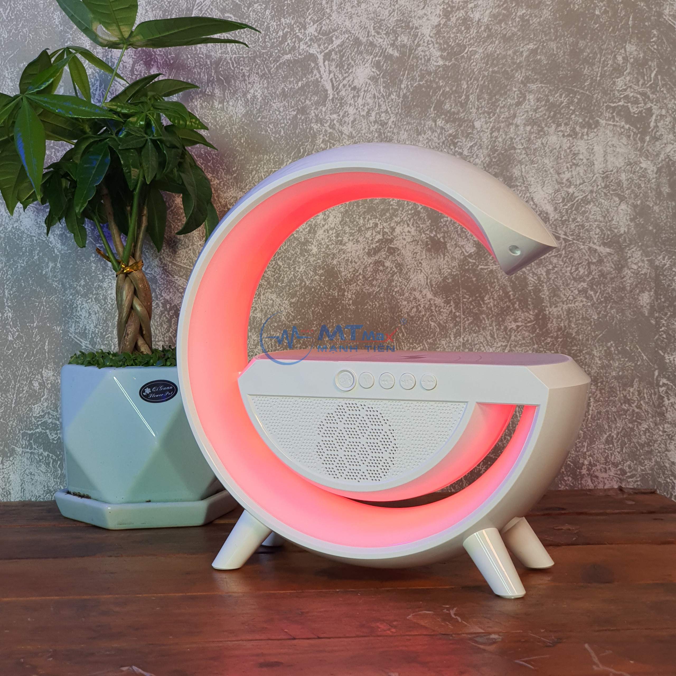 MẠNH TIẾN GIÁ SỈ