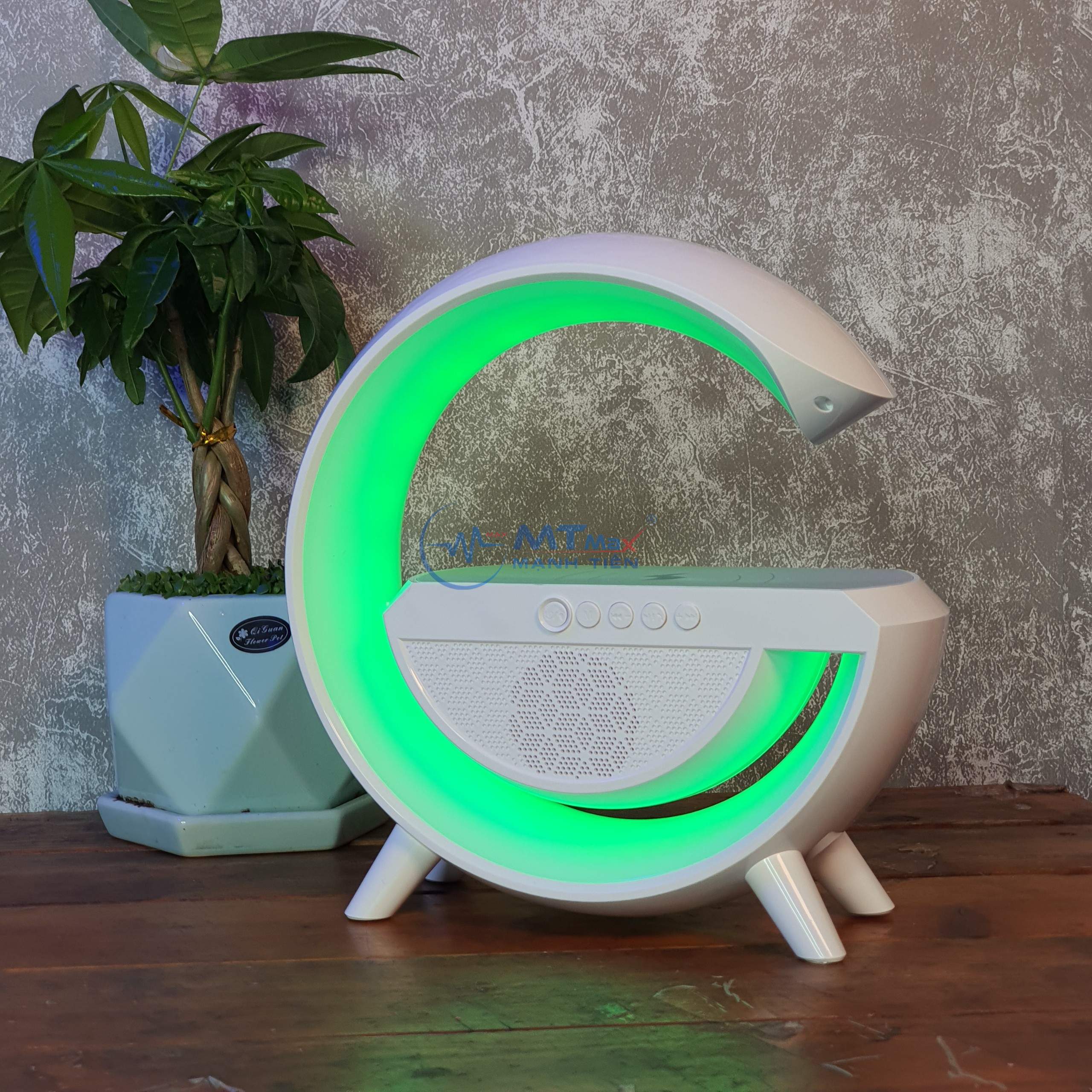 MẠNH TIẾN GIÁ SỈ