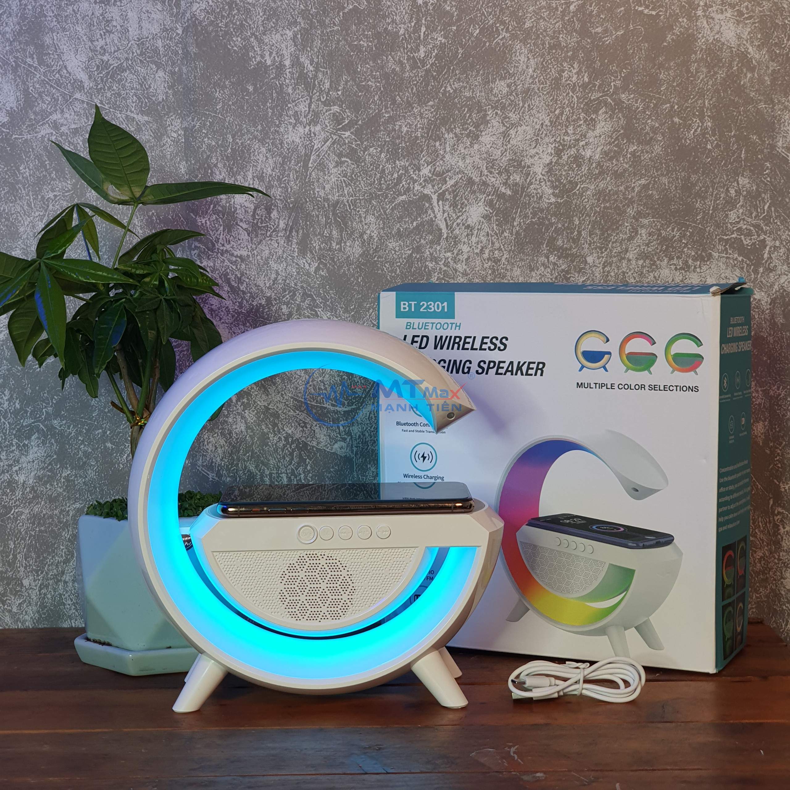 MẠNH TIẾN GIÁ SỈ