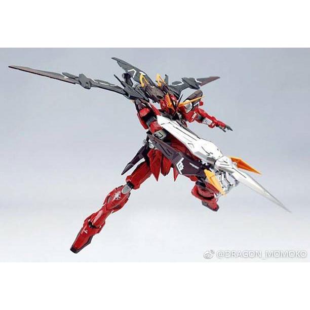 ZGMFX12A Gundam Testament (MG) by Dragon Momoko