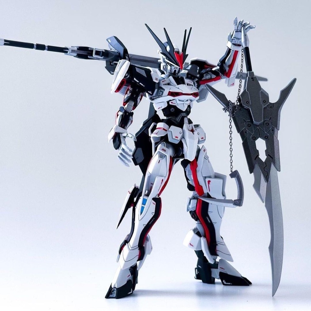 P-bandai HG 1/144 LOAD ASTRAY OMEGA Ω LORD HGSEED HGCE Gundam