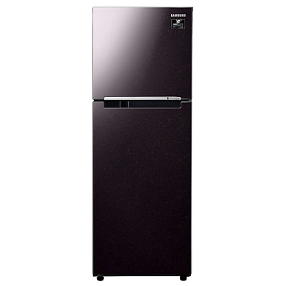 Tủ lạnh Samsung inverter 236 lít RT22M4032BY/SV