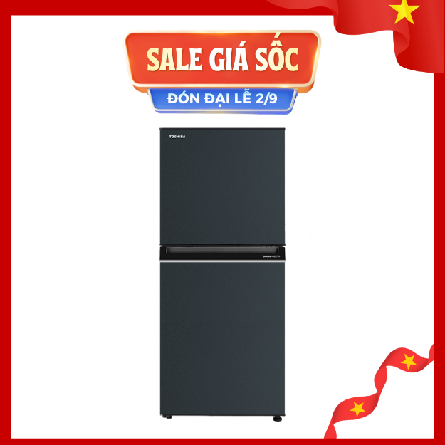 Tủ Lạnh Toshiba Inverter 180 lít GR-RT234WE-PMV(52)