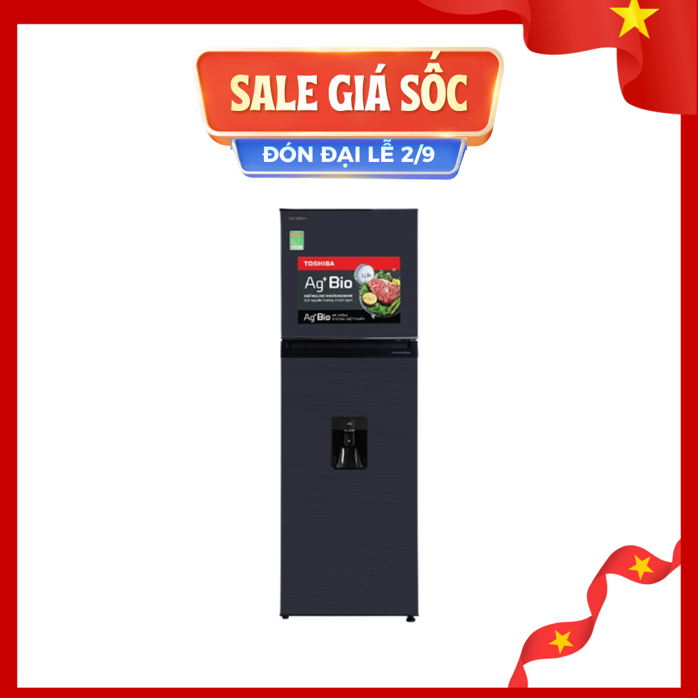 Tủ Lạnh Toshiba Inverter 249 Lít GR-RT325WE-PMV(06)-MG