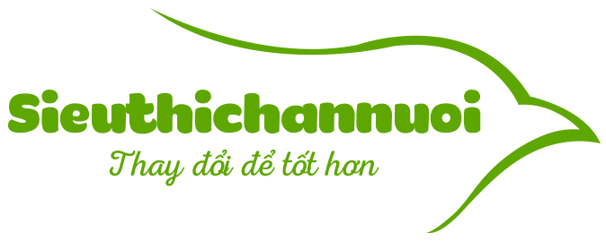 Sieuthichannuoi.com