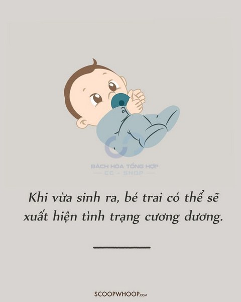 Khi vừa sinh ra, bé trai có thể cương dương