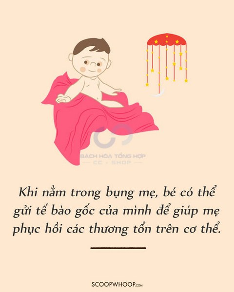 Trẻ sơ sinh "Bảo vệ" mẹ ngay từ khi còn nằm trong bụng mẹ