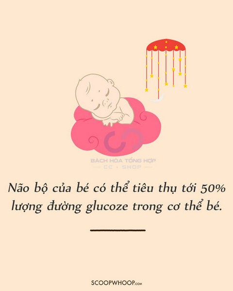 Não bộ của trẻ sơ sinh sử dụng 50% glucose trong cơ thể