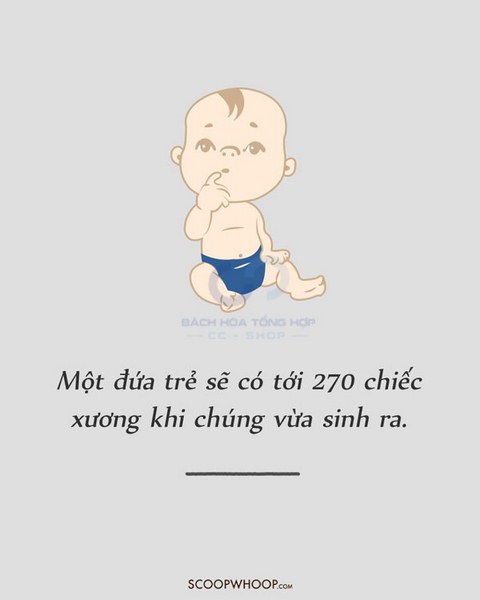 Trẻ vừa sinh ra có đến 270 cái xương