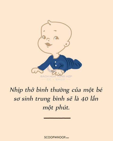 Nhịp thở bình thường của trẻ sơ sinh là 40 lần/phút