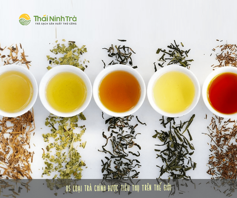 Những sự thật thú vị về trà mà bạn chưa biết
