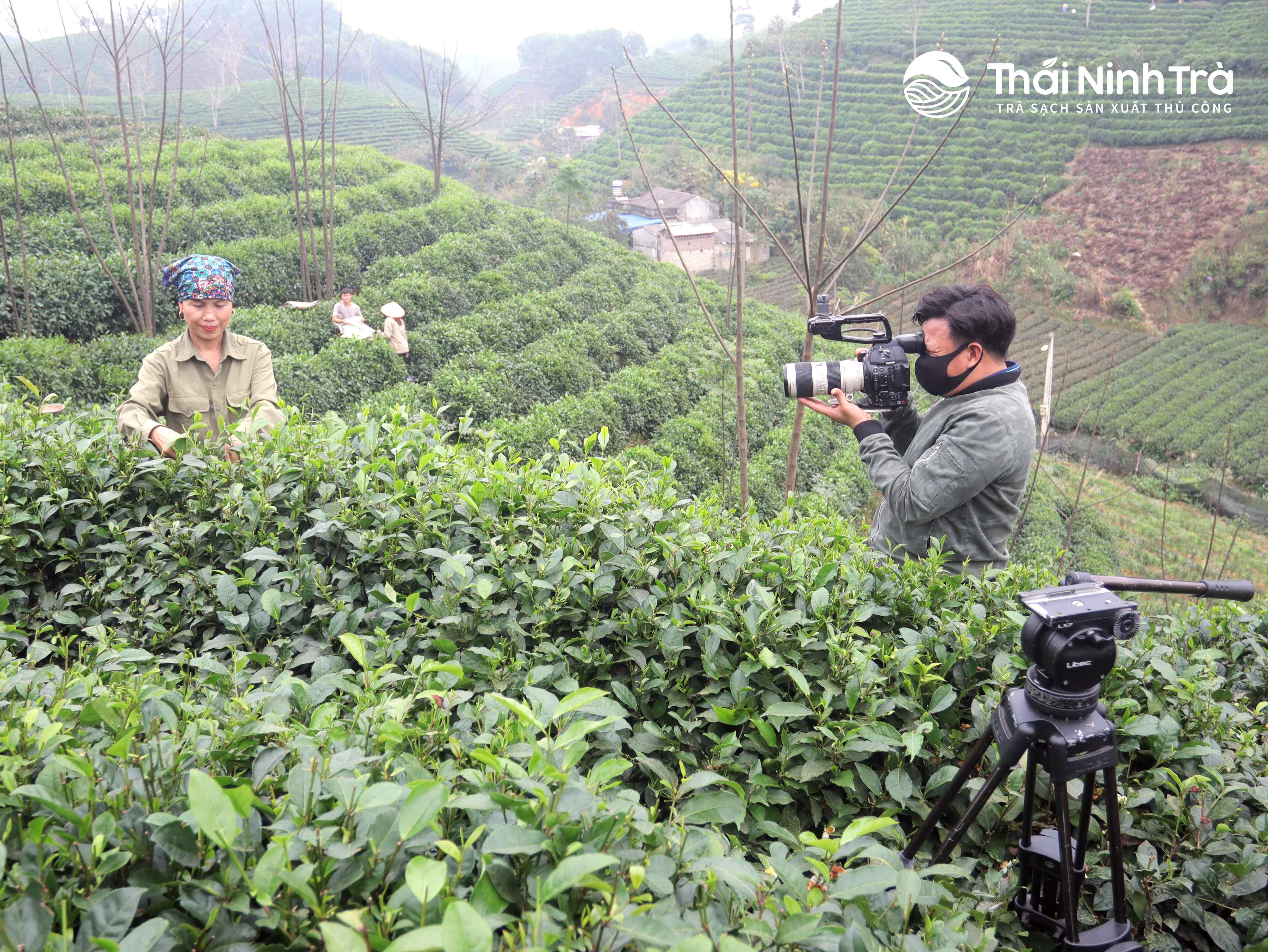 Thái Ninh Trà sắp lên sóng VTV2 Đài truyền hình Việt Nam