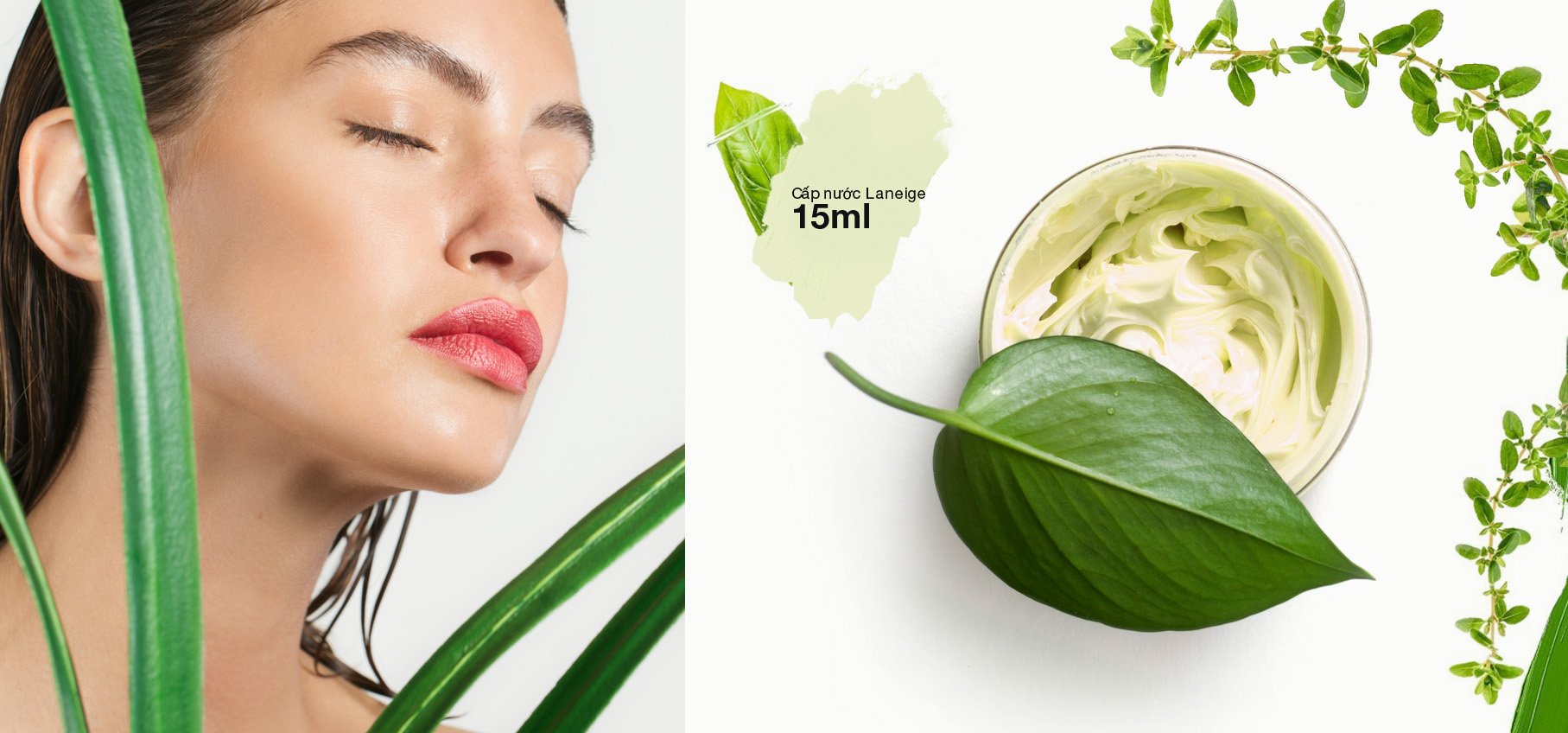 Laneige