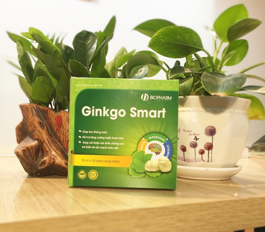 GINKGO SMART DƯỢC PHẨM BIOPHARM BIOPHARM.VN HOTLINE 1800 6538