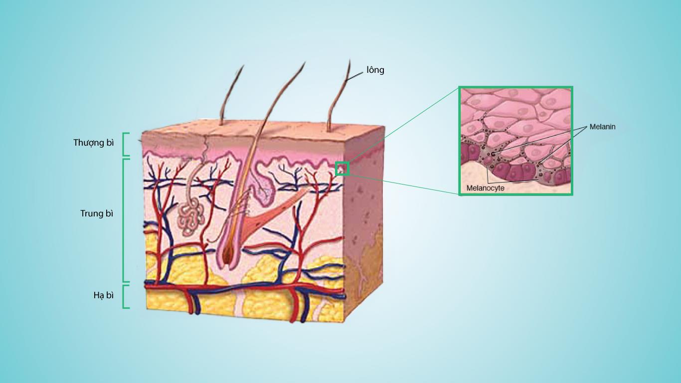 Tắm Trắng Phun Phủ Nano Công Nghệ Lightherapy