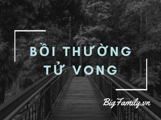 Tham khảo về Bồi thường tử vong tại Manulife Việt Nam